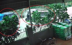 Video: Va chạm với ô tô tải khi đi từ ngõ ra, xe ba bánh lật ngang khiến tài xế bị thương nặng