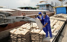 Xi măng sắp tăng giá thêm 100.000 đồng/tấn