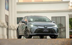 Doanh số xe hạng C tháng 2/2022: Toyota Corolla Altis tạm "bét bảng" do hết vòng đời