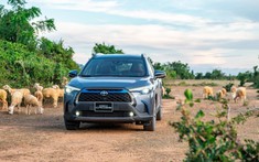 Toyota Corolla Cross và Vios chiếm hơn nửa doanh số tháng 2/2022 của Toyota Việt Nam