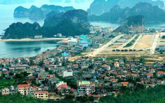 Vân Đồn ra chỉ đạo mới về tách thửa, chuyển mục đích sử dụng đất từ 17/3