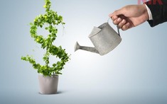 Đầu tư tiền nhàn rỗi như thế nào hiệu quả cao nhất?