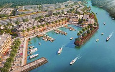 Đến Venezia Beach để tận hưởng cuộc sống hạnh phúc hơn và lâu hơn