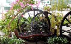 Trang trí sân vườn bằng bánh xe cũ bằng gỗ độc đáo