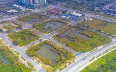 Siết đấu giá đất, nhưng quá khắt khe sẽ ảnh hưởng đến môi trường đầu tư