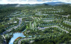 Liên danh Sao Đất Việt trúng dự án hơn 400 tỉ tại Hoà Bình