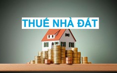Phó Thủ tướng chỉ đạo nghiên cứu bổ sung thu thuế nhà để hạn chế đầu cơ