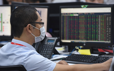 Thủ tướng yêu cầu xử lý nghiêm việc đưa tin thất thiệt ảnh hưởng thị trường