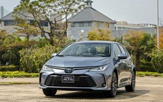 Doanh số xe hạng C tháng 3/2022: Tăng trưởng toàn phân khúc, Toyota Corolla Altis bán chạy gấp 10