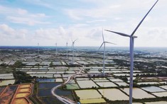 Tập đoàn Đức muốn đầu tư dự án điện gió ngoài khơi 6 tỉ USD tại Bình Định