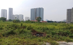Hà Nội: Kiến nghị thu hồi đất 29 dự án chậm triển khai