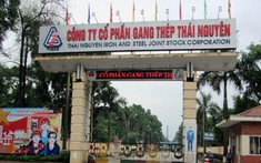 Gang thép Thái Nguyên tiếp tục không chia cổ tức, dự kiến giảm 42% lợi nhuận năm 2022