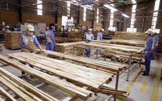Xuất khẩu gỗ và sản phẩm gỗ đạt 3,94 tỷ USD trong quý 1/2022