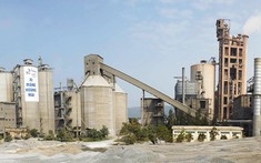 Vicem Hoàng Mai dự kiến lợi nhuận 2022 tăng gấp 5,6 lần