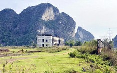 Thanh tra dự án nhà máy xi măng 40ha treo 15 năm
