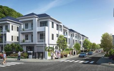 SSI: Phát triển Nhà Bà Rịa Vũng Tàu đang tìm cách mua lại các dự án hấp dẫn từ các nhà đầu tư không đủ năng lực, thu gom đất nền từ các cá nhân với giá rẻ