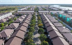 Cơ hội bứt tốc của bất động sản khu đô thị tại Long An