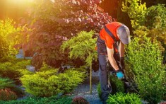 5 lời khuyên để chuẩn bị khu vườn thư giãn trong mùa hè này