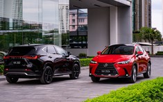 Lexus NX thế hệ mới ra mắt tại Việt Nam, 2 tuỳ chọn Hybrid và F Sport, giá trên 3 tỷ đồng