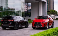 Lexus NX 2022 ra mắt Việt Nam: có bản Hybrid lẫn F SPORT, giá từ 3,01 tỷ đồng
