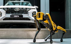 Robot SPOT được Hyundai được đưa về Việt Nam, tham gia các sự kiện và tương tác cùng khách Việt