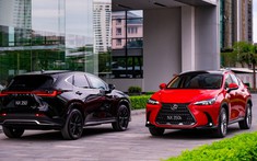 Thông số kỹ thuật Lexus NX 2022: Có gì cạnh tranh Mercedes – Benz GLC?