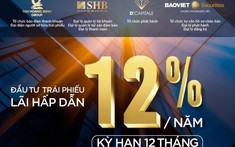 Sau vụ Tân Hoàng Minh, Thủ tướng Chính phủ ra lệnh chấn chỉnh thị trường trái phiếu doanh nghiệp và đấu giá đất