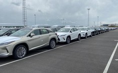 Hàng nghìn chiếc ô tô hạng sang bị mắc kẹt tại cảng vì không xuất được sang Nga