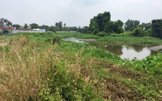 Đất Củ Chi, Hóc Môn giảm "sốt", giá vẫn neo cao