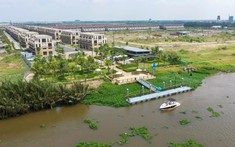 Nguồn cung mới tăng sức nóng cho thị trường BĐS Long An