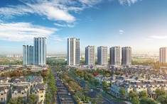 Giá trị thực trong bất động sản – Phép quy đổi của tiềm năng và giá trị cộng hưởng