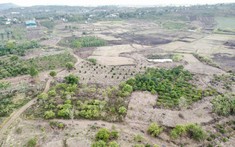 Ngăn chặn việc lợi dụng sự thiếu hiểu biết của người dân để tổ chức mua bán, chiếm đoạt quyền sử dụng đất