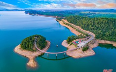 Xem xét tính khả thi, hiệu quả các dự án do Tập đoàn TH đề xuất đầu tư tại Hà Tĩnh