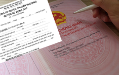The Premier - phân khu biệt thự dự án Sonasea Vân Đồn