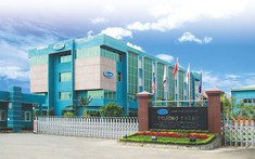 Gỗ Trường Thành thoát lỗ trong quý 1 nhờ lãi chênh lệch tỷ giá