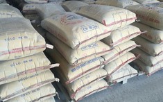 Xi măng trong nước tiếp tục tăng giá bán