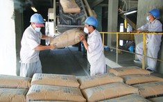 Doanh nghiệp xi măng tăng giá bán, kỳ vọng bù đắp được chi phí sản xuất