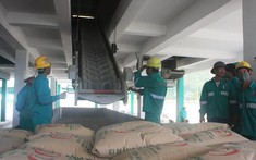 Xi măng Công Thanh đặt mục tiêu thua lỗ 770 tỷ đồng năm 2022