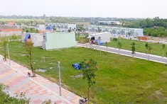 Long An tạm dừng tách thửa tại một số khu vực