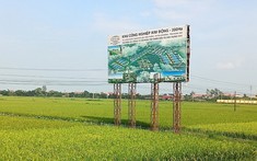 Yêu cầu DĐK Group ngừng tham gia dự án nhà ở công nhân KCN Kim Động