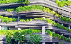 ESG và những tác động tích cực lên thị trường bất động sản Việt Nam