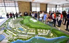 Nhà đầu tư phía Bắc bất ngờ tăng lượng tìm kiếm thị trường Bình Châu Hồ Tràm