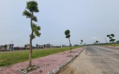 Mê Linh (Hà Nội) lại sốt đất?