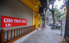 Bất động sản cho thuê phục hồi diện rộng