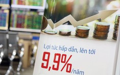 Ham lãi suất cao, nhà đầu tư phớt lờ cảnh báo về rủi ro phát hành trái phiếu