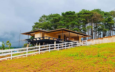 Kiwuki Village: Dự án Biệt thự tại Bảo Lộc