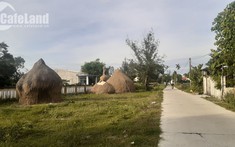 Đất Đắk Lắk sẽ hết sốt ảo?
