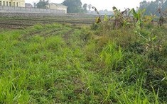 Thái Nguyên muốn “hồi sinh” dự án hơn 4.000 tỉ đồng tại Phổ Yên