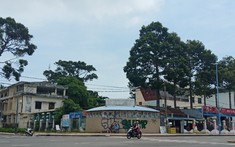 Bà Rịa - Vũng Tàu lập quy hoạch 1/500 nhiều khu đất công để đấu giá