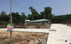 Lập tổ công tác đặc biệt xử lý vi phạm về đất đai ở Phú Quốc